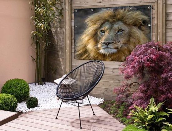Poster Jardin Roi Lion 40x60 cm - petit - Toile de jardin / Toile d'extérieur / Peintures d'extérieur (décoration de jardin)