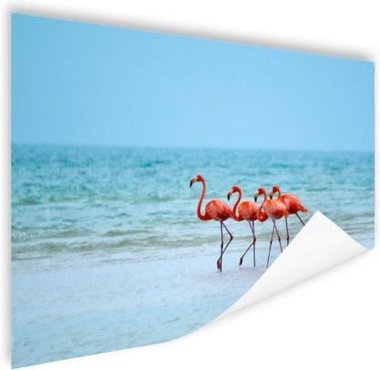 Roze flamingos in het water  Poster 90x60 cm - Foto print op Poster (wanddecoratie)
