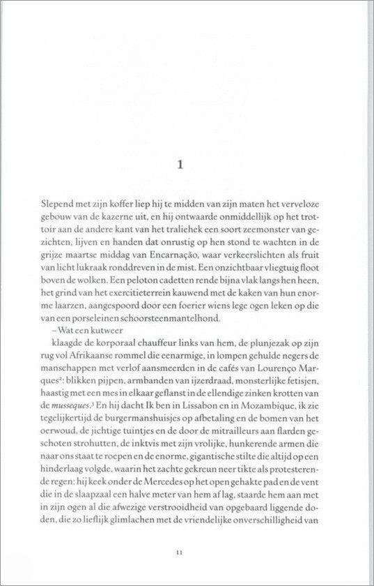 Een bladzijde uit een boek met Nederlandse tekst over een reis door Afrika en ervaringen.