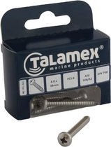 Talamex RVS Plaatschroef cylinder philipskruiskop DIN 7981