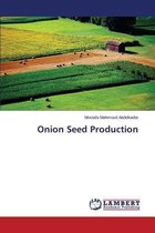 Onion Seed Production