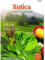 Buzzy® Xotica Salade Mix Exotisch Baby Leaf