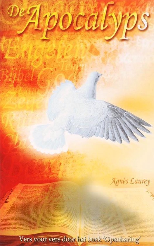 Cover van het boek 'De apocalyps / druk 1' van A.M. Laurey