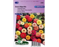 Sluis Garden Zinnia Lilliput Mix