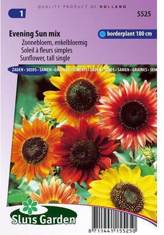 Sluis Garden- Zonnebloem Avondzon mix (Helianthus)