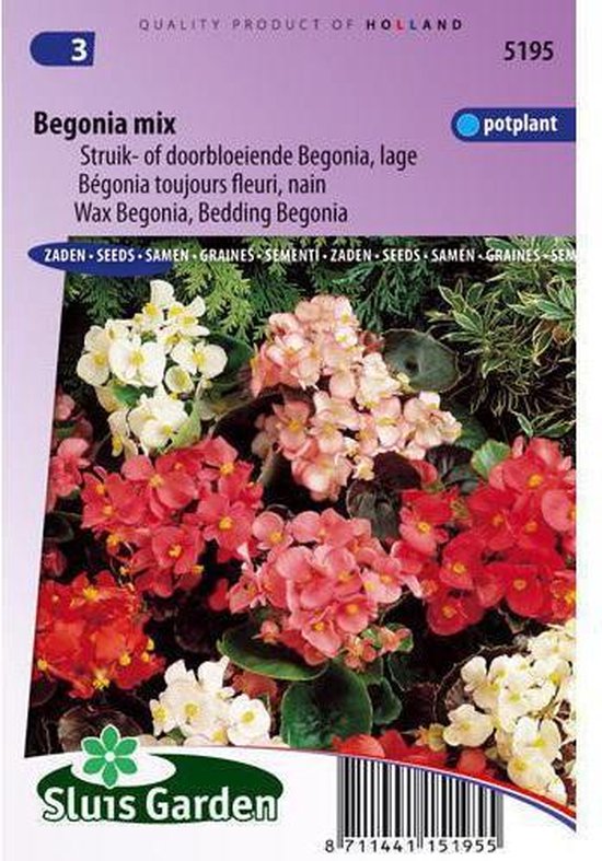 Sluis Garden Begonia Laag Gemengd