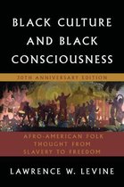 Black Culture And Black Consciousness