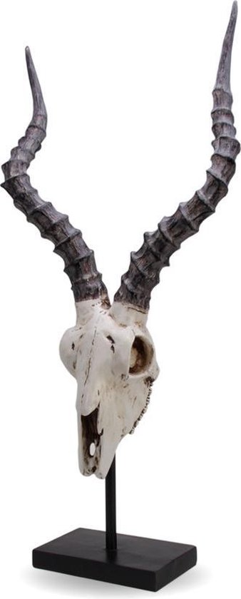 animal skull decoration