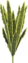 EUROPALMS Sansevieria (EVA), artificial, green-yellow, 74cm