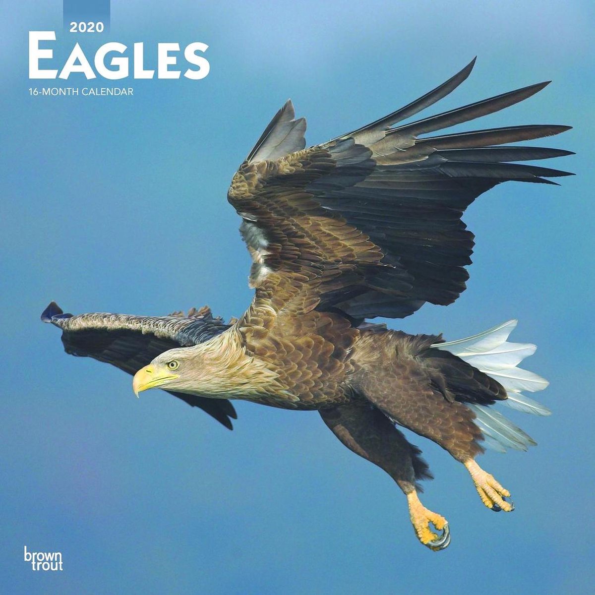 Eagles Kalender 2020