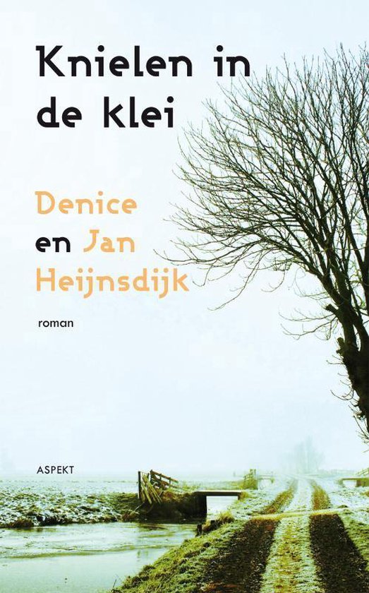 Cover van het boek 'Knielen in de klei' van Denice Heijnsdijk