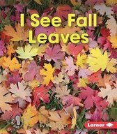 I See Fall Leaves