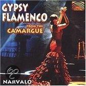 Gypsy Flamenco Music from the Camargue