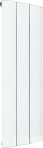 Design radiator verticaal aluminium mat wit 60x28cm 316 watt -  Eastbrook Peretti