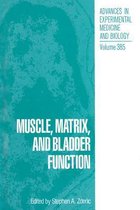 Muscle, Matrix, and Bladder Function