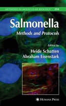 Salmonella