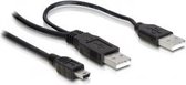 DeLOCK 2x USB2.0-A male / USB mini 5-pin câble USB 1 m USB A Mini-USB B Noir