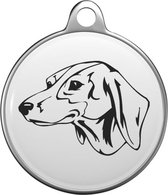 Schweizerischer NiederlaufhundTommy Tag S013