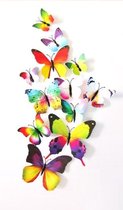 3D Vlinders - Muurdecoratie - Regenboog