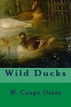 Wild Ducks