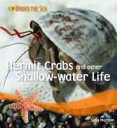 Under the Sea - Hermit Crabs