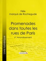 livre numérique