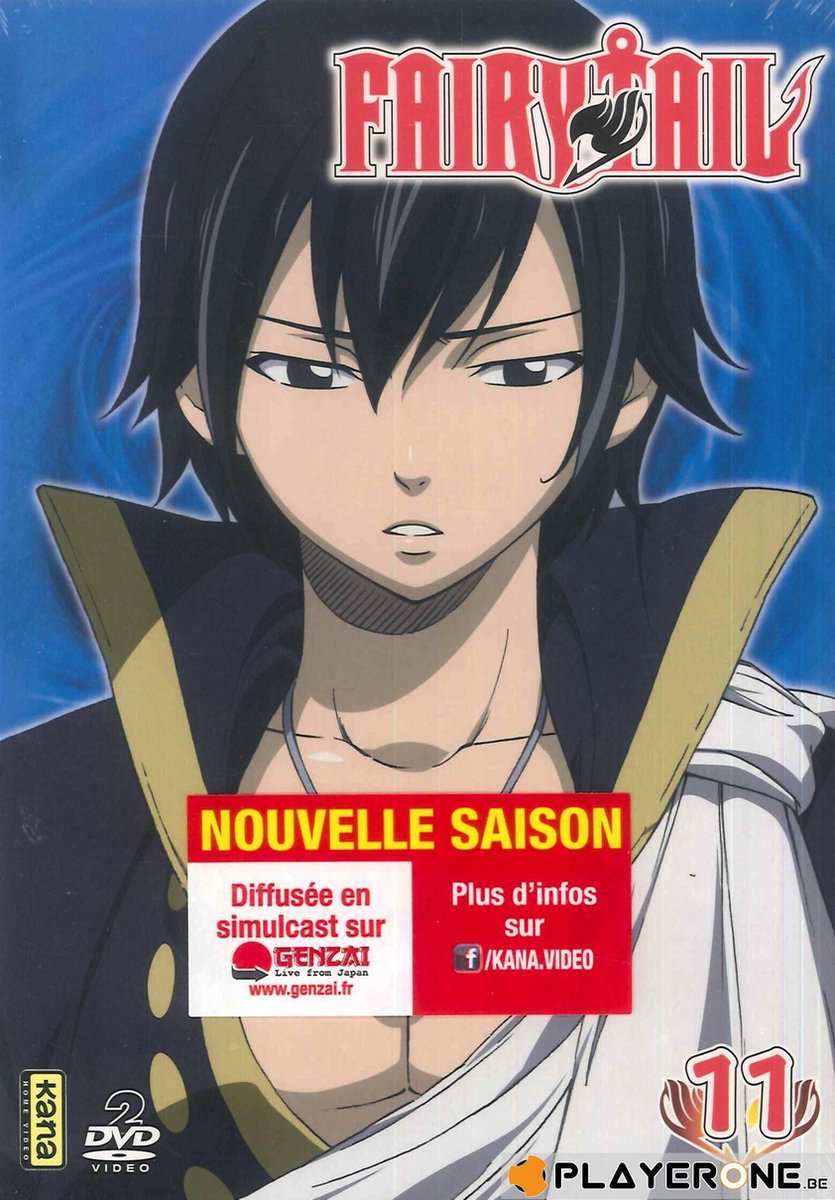 FAIRY TAIL - Vol 11 (2DVD)
