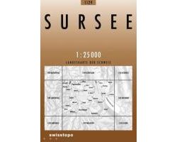 Swisstopo 1 : 25 000 Sursee