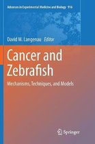 Cancer and Zebrafish