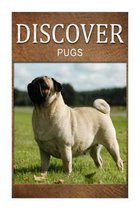 Pugs - Discover