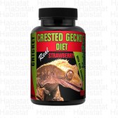 Crested Gecko Diet Strawberry & Cricket