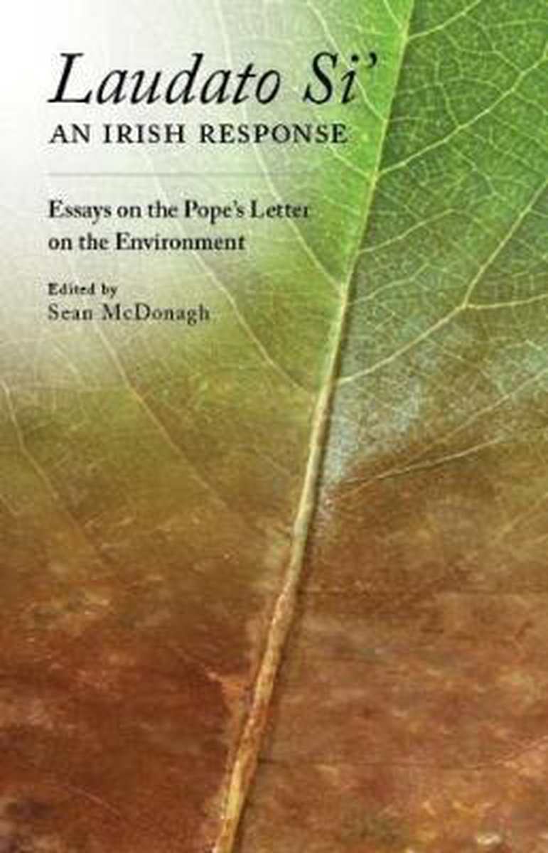 Reflections on Laudato Si' - Veritas Publications