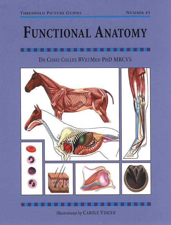 FUNCTIONAL ANATOMY - cover