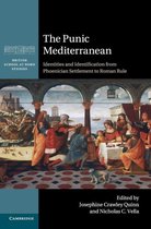 The Punic Mediterranean