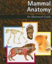 Mammal Anatomy: An Illustrated Guide- Mammal Anatomy: An Illustrated Guide