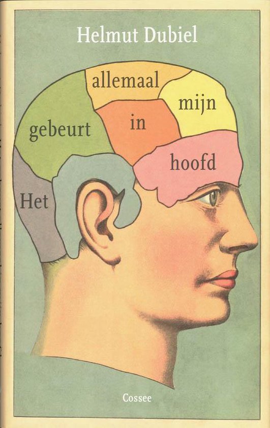 Cover van het boek 'Het gebeurt helemaal in mijn hoofd' van H. Dubiel