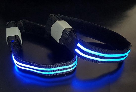 Hilox LED Verlichting Paard - Benen Blauw | bol.