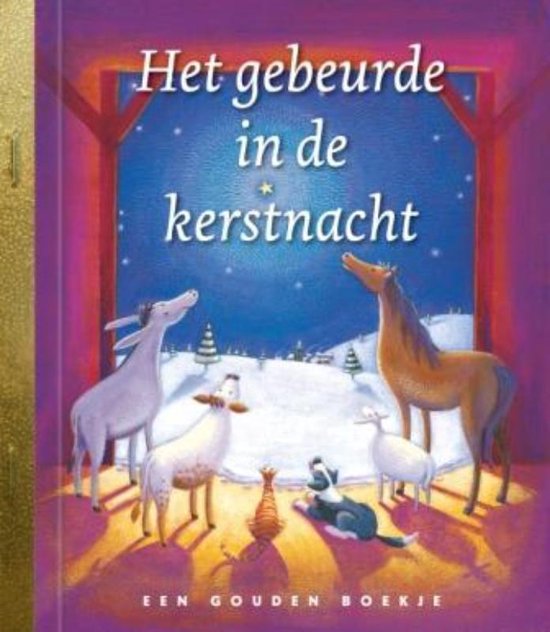 Cover van het boek 'Het gebeurde in de kerstnacht' van Gale Wiersum