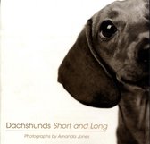 Dachshunds Short and Long