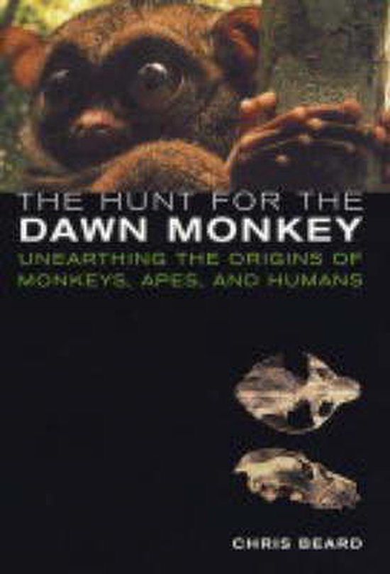 The Hunt for the Dawn Monkey - cover