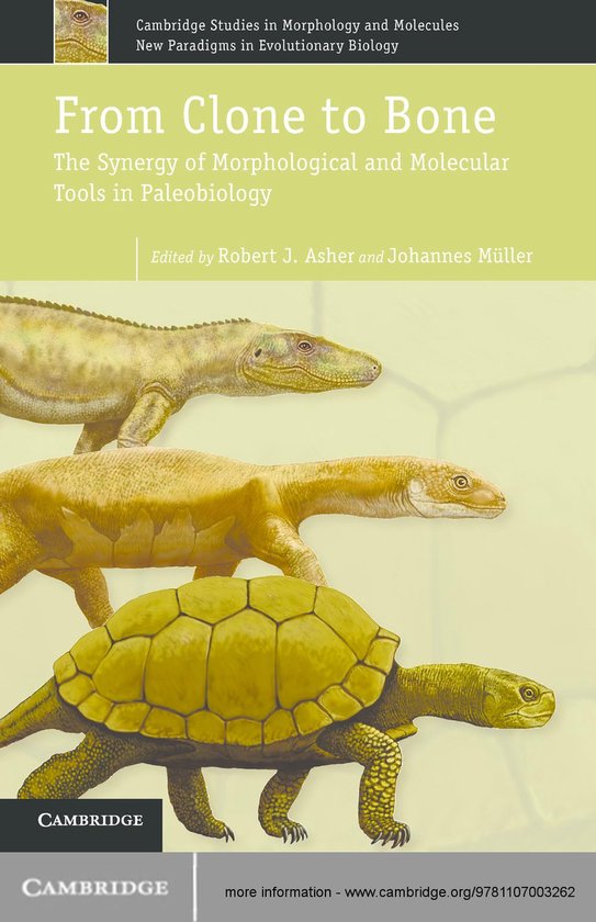 Cambridge Studies in Morphology and Molecules: New Paradigms ... - cover