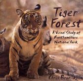 Tiger Forest