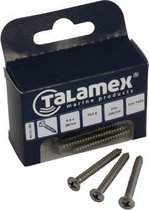 Talamex RVS Plaatschroef lens-philipskruiskop DIN 7983