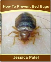 How To Prevent Bed Bugs