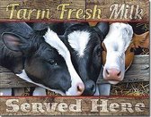 Farm Fresh Milk Served Here Metalen wandplaat 32 x 41 cm