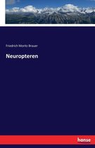 Neuropteren