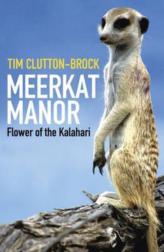 9780753823149 - Meerkat Manor: Flower Of The Kalahari-Tim Clutton-Brock
