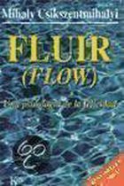Fluir / Flow