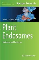 Plant Endosomes