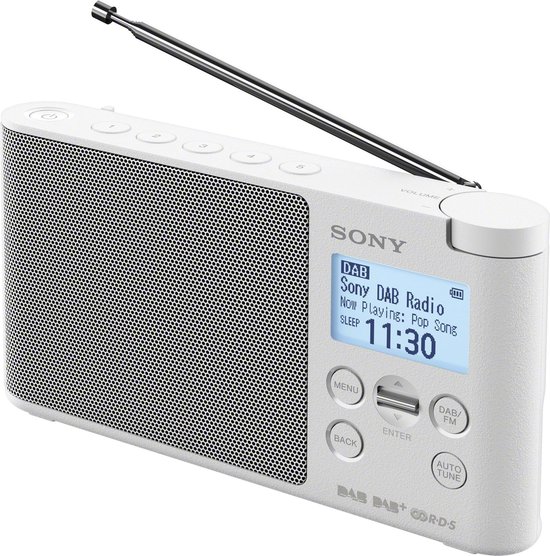 Maak avondeten betaling wijsvinger Sony Xdr-s41 DAB Draagbare radio 0.65 W | bol.com